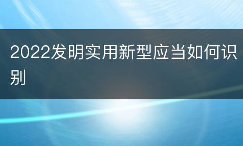 2022发明实用新型应当如何识别