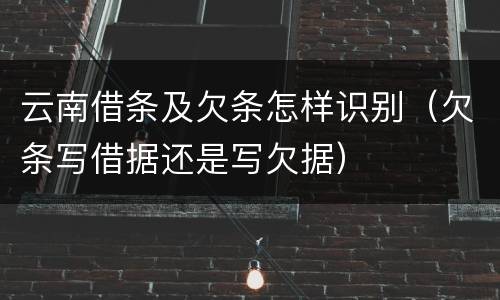 云南借条及欠条怎样识别（欠条写借据还是写欠据）