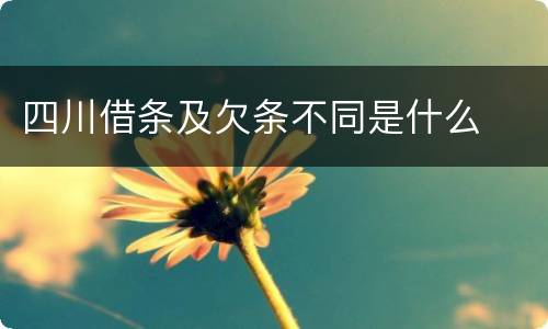 四川借条及欠条不同是什么