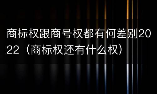 商标权跟商号权都有何差别2022（商标权还有什么权）