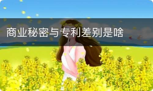 商业秘密与专利差别是啥