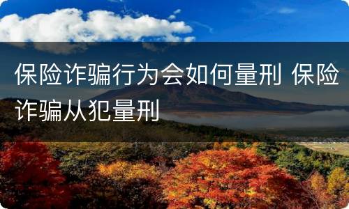 保险诈骗行为会如何量刑 保险诈骗从犯量刑