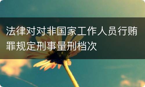 法律对对非国家工作人员行贿罪规定刑事量刑档次