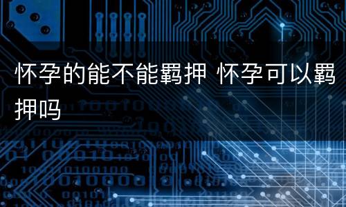怀孕的能不能羁押 怀孕可以羁押吗