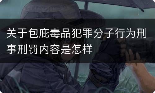 关于包庇毒品犯罪分子行为刑事刑罚内容是怎样