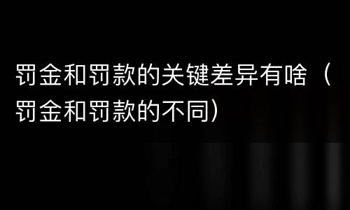 罚金和罚款的关键差异有啥（罚金和罚款的不同）