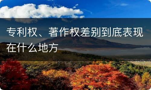 专利权、著作权差别到底表现在什么地方