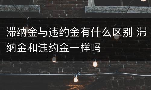 滞纳金与违约金有什么区别 滞纳金和违约金一样吗