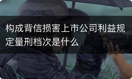 构成背信损害上市公司利益规定量刑档次是什么