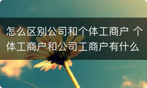 怎么区别公司和个体工商户 个体工商户和公司工商户有什么区别