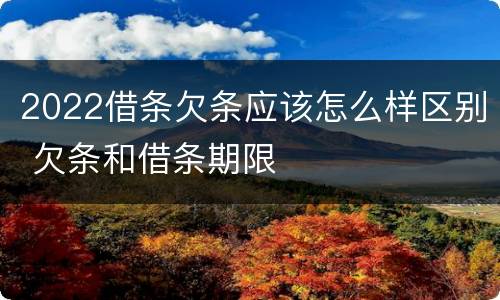 2022借条欠条应该怎么样区别 欠条和借条期限