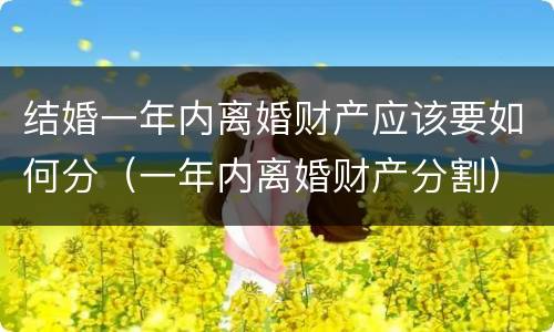 结婚一年内离婚财产应该要如何分（一年内离婚财产分割）