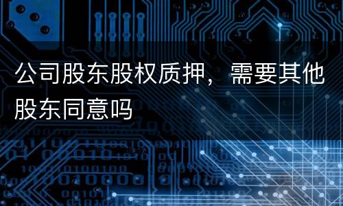 公司股东股权质押，需要其他股东同意吗