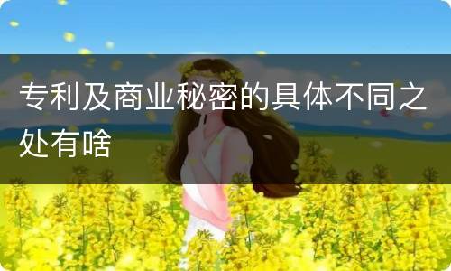 专利及商业秘密的具体不同之处有啥