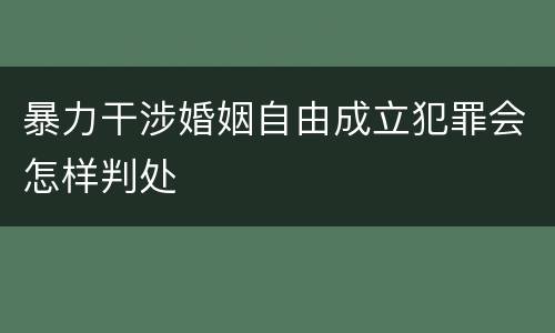 暴力干涉婚姻自由成立犯罪会怎样判处