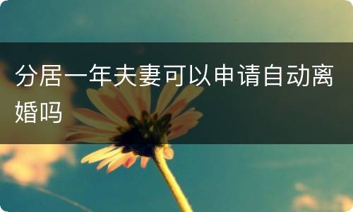 分居一年夫妻可以申请自动离婚吗