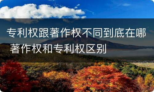 专利权跟著作权不同到底在哪 著作权和专利权区别