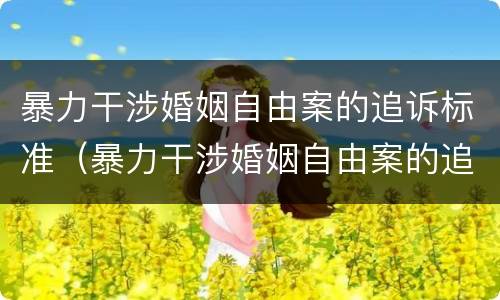 暴力干涉婚姻自由案的追诉标准（暴力干涉婚姻自由案的追诉标准是）
