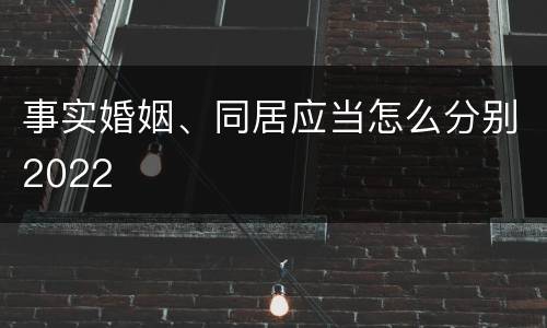 事实婚姻、同居应当怎么分别2022