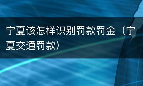 宁夏该怎样识别罚款罚金（宁夏交通罚款）