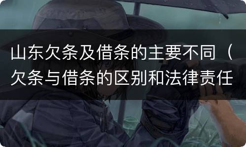 山东欠条及借条的主要不同（欠条与借条的区别和法律责任）