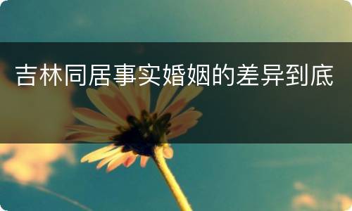 吉林同居事实婚姻的差异到底