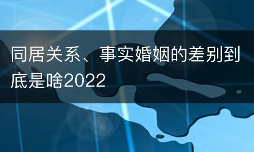 同居关系、事实婚姻的差别到底是啥2022
