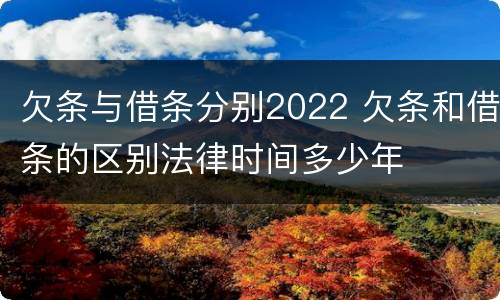 欠条与借条分别2022 欠条和借条的区别法律时间多少年