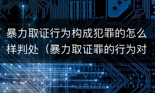 暴力取证行为构成犯罪的怎么样判处（暴力取证罪的行为对象）