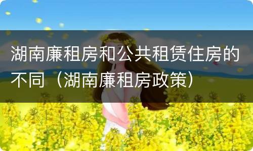 湖南廉租房和公共租赁住房的不同（湖南廉租房政策）