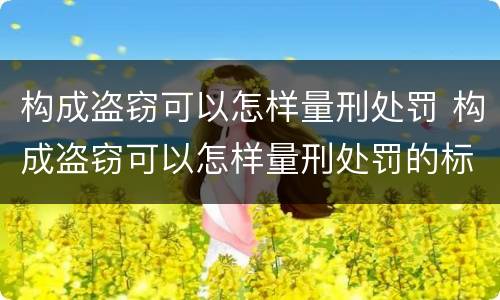 构成盗窃可以怎样量刑处罚 构成盗窃可以怎样量刑处罚的标准