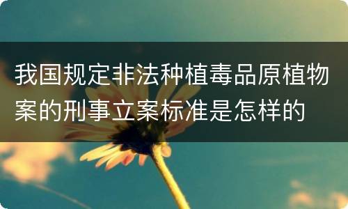 我国规定非法种植毒品原植物案的刑事立案标准是怎样的
