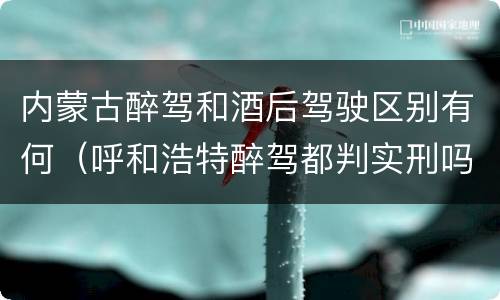 内蒙古醉驾和酒后驾驶区别有何（呼和浩特醉驾都判实刑吗）