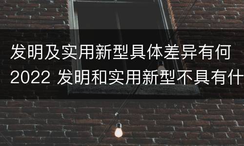发明及实用新型具体差异有何2022 发明和实用新型不具有什么特性