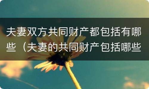 夫妻双方共同财产都包括有哪些（夫妻的共同财产包括哪些?）
