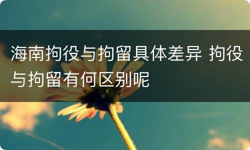 海南拘役与拘留具体差异 拘役与拘留有何区别呢