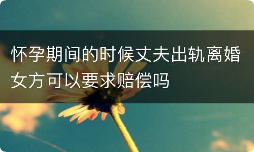 怀孕期间的时候丈夫出轨离婚女方可以要求赔偿吗