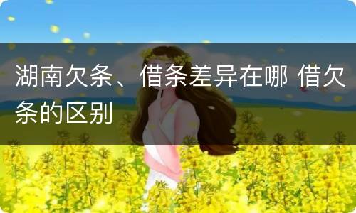 湖南欠条、借条差异在哪 借欠条的区别