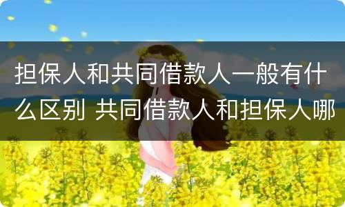 担保人和共同借款人一般有什么区别 共同借款人和担保人哪个责任更大