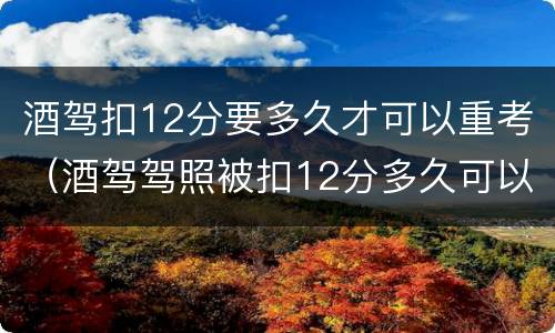 酒驾扣12分要多久才可以重考（酒驾驾照被扣12分多久可以重新考试）