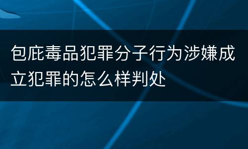 包庇毒品犯罪分子行为涉嫌成立犯罪的怎么样判处