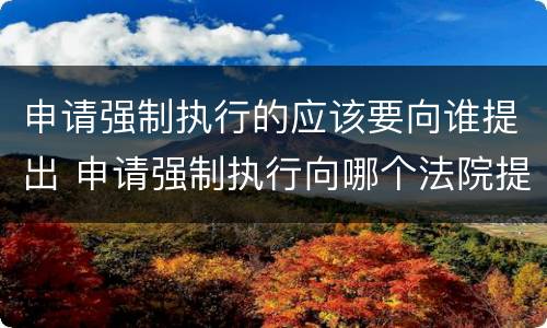 申请强制执行的应该要向谁提出 申请强制执行向哪个法院提出