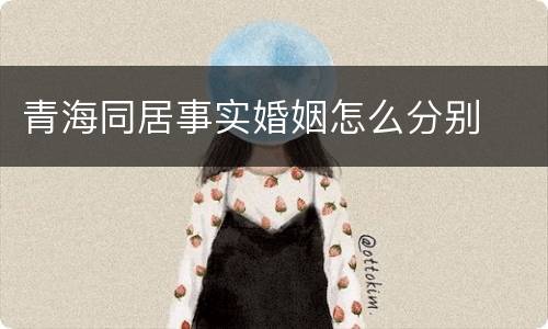 青海同居事实婚姻怎么分别