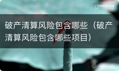 破产清算风险包含哪些（破产清算风险包含哪些项目）