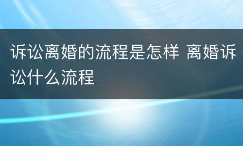 诉讼离婚的流程是怎样 离婚诉讼什么流程