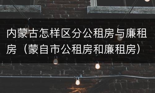 内蒙古怎样区分公租房与廉租房（蒙自市公租房和廉租房）