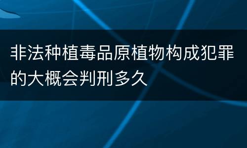 非法种植毒品原植物构成犯罪的大概会判刑多久
