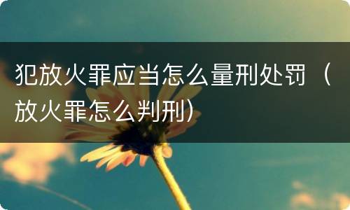 犯放火罪应当怎么量刑处罚（放火罪怎么判刑）