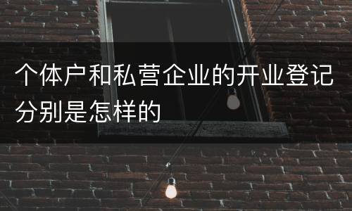 个体户和私营企业的开业登记分别是怎样的