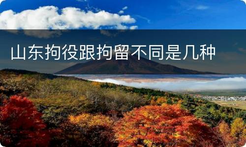 山东拘役跟拘留不同是几种